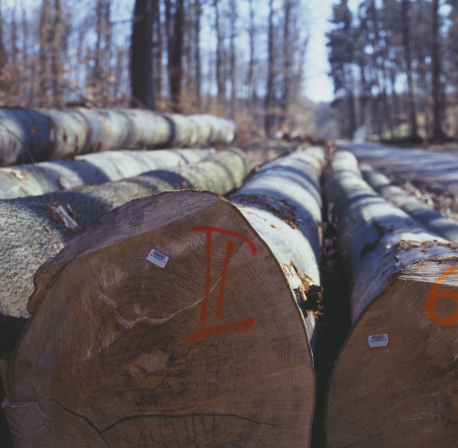 DeSH begr��t Einigung auf Klimaschutzplan 2050 - Intensive Bem�hungen des Verbands von Erfolg gekr�nt