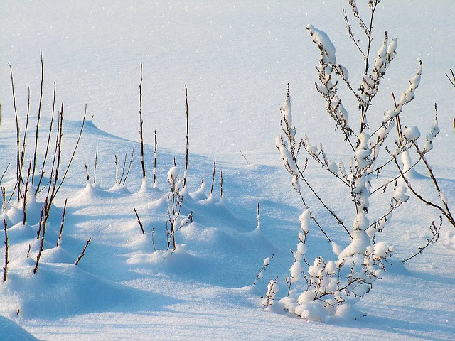 Gemütlich warm und trotzdem sparen: Tipps zum Heizkosten senken