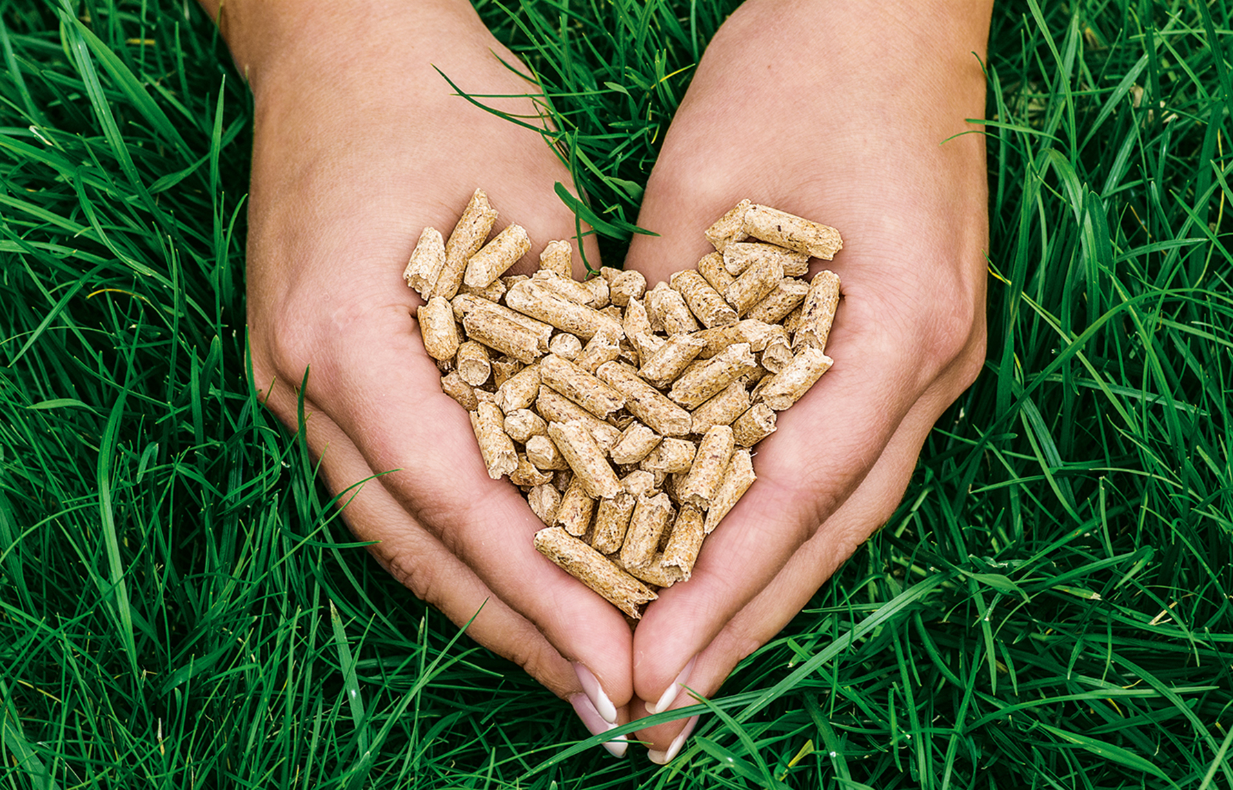 Rheinland-Pfalz: Holzpellets unverzichtbar fr die Wrmewende