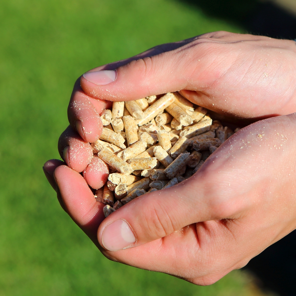 Jetzt Vorräte auffüllen: Holzpellets im April günstiger 