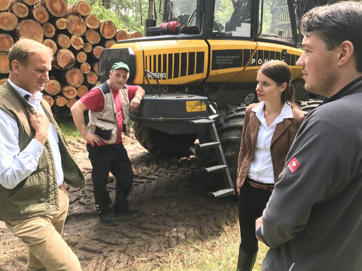 Potenziale von Wald und Holz konsequent ausschpfen