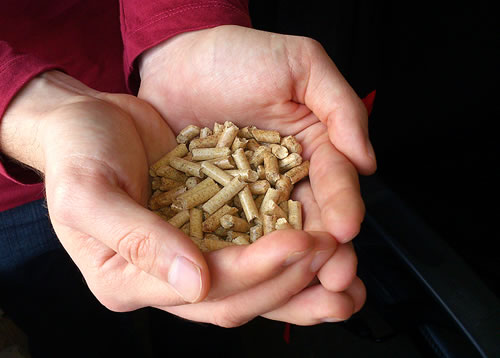 Klte verteuert Holzpellets im Februar 