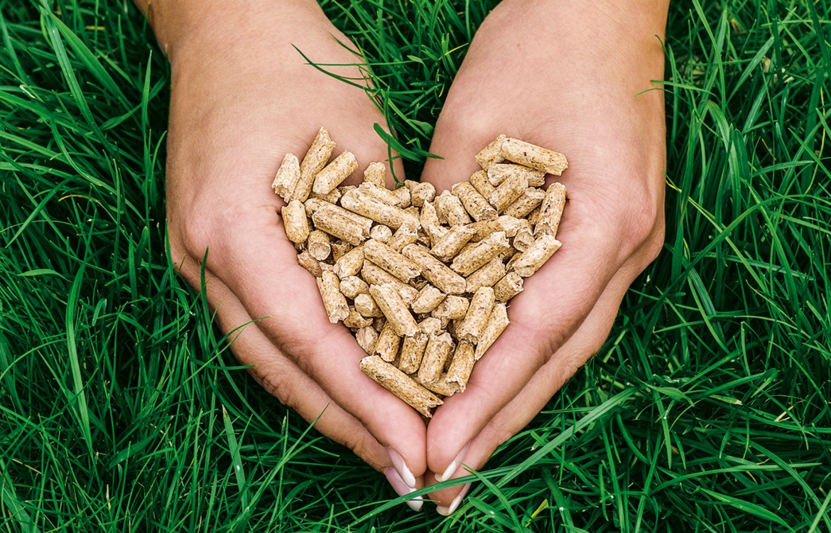 Pellets zum Jahresende etwas teurer 