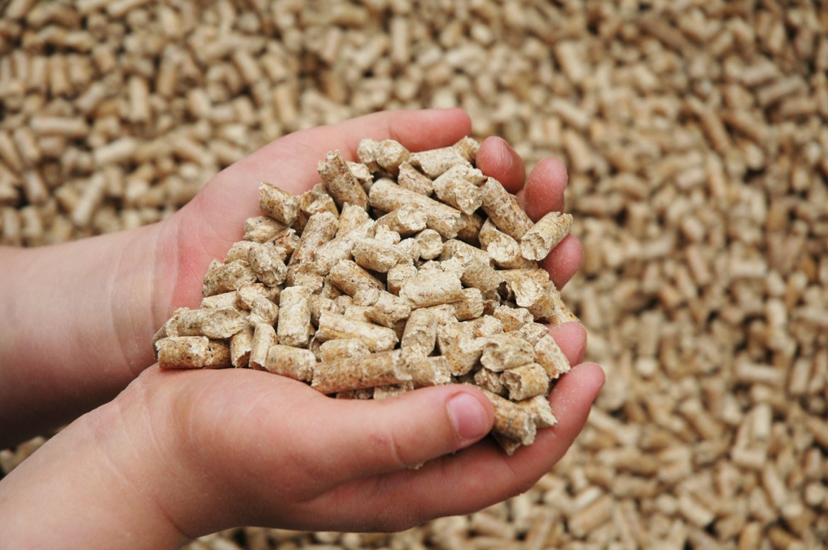 Holzpellets im Oktober teurer 