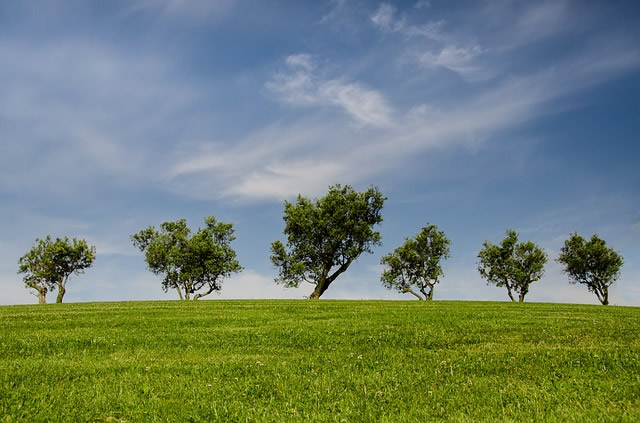 Klimawandel in Deutschland: Neuer Monitoringbericht belegt weitreichende Folgen