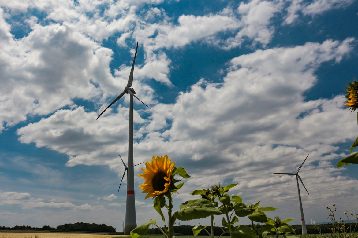 GREEN DEAL: Große Pläne mit Risiko