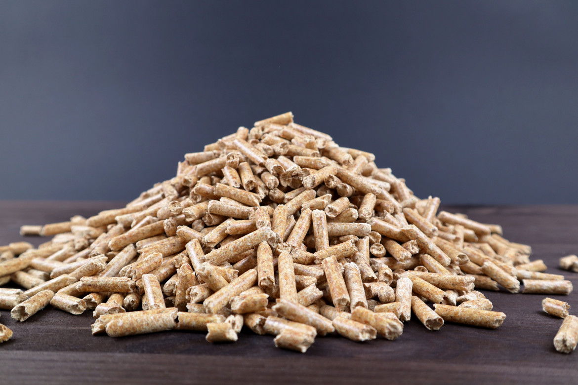 Holzpellets im August weiter gnstig