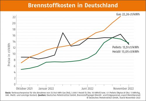 Preis für Holzpellets sinkt im November deutlich - Jetzt für Winter bevorraten