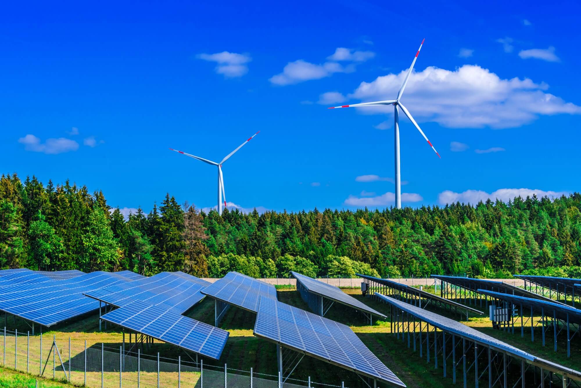 Rekordzubau in Deutschland: 8.000 MW neue Wind- und Solarleistung im ersten Halbjahr 2023