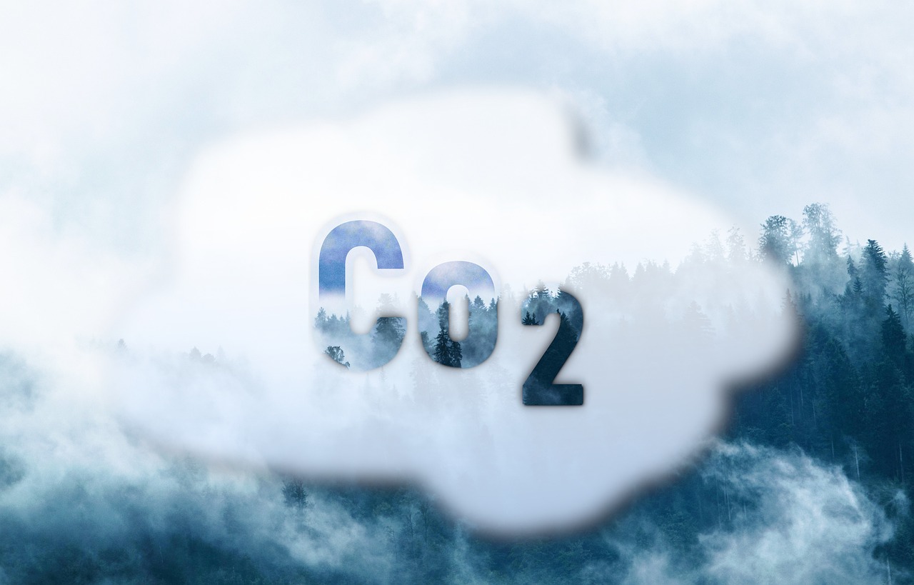 CCS  Streitthema auf der Klimakonferenz