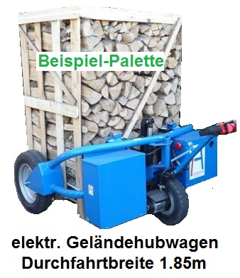 Buchen Kaminholz trocken / Palette (60 Säcke)