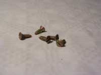 3,9 x 12 mm / Linsen-Senk-Schlitz-Blechschraube