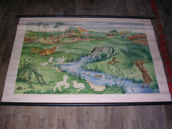 Rollbild Haustiere auf der Wiese