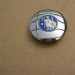 Lenkrademblem farbig / 311-1000