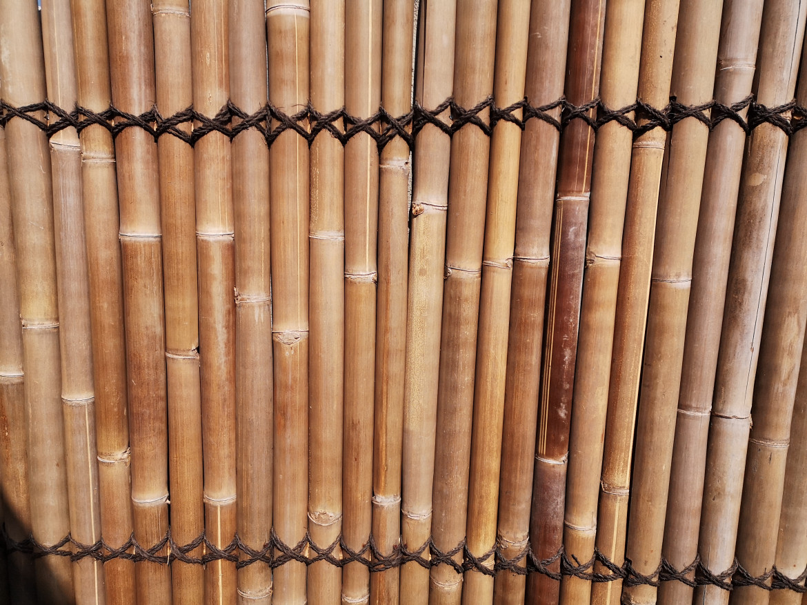 Bambus-Zäune: Jetzt für Garten oder Grundstück bestellen!