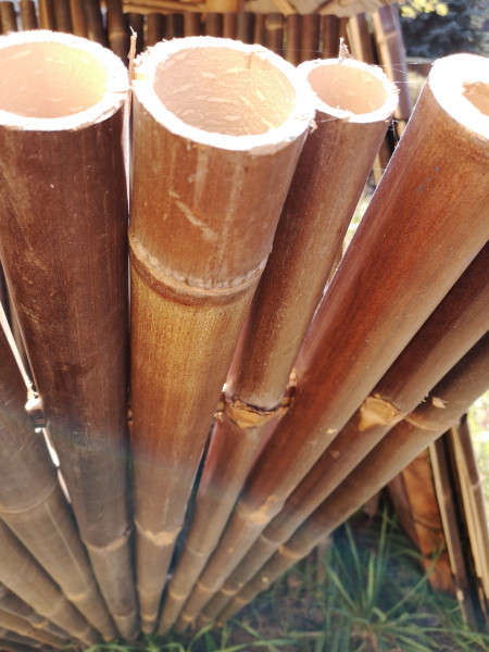 Bambus Sichtschutz, volles Rohr, 200 cm hoch, 90 cm breit, dunkel, Mindestbestellmenge: 5 Stück