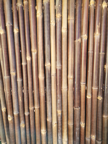 Bambus Sichtschutz, volles Rohr, 180 cm hoch, 90 cm breit, dunkel, Mindestbestellmenge: 5 Stück