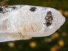 Himalaya Kristall XL
