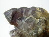 Rauchquarz Stufe mit Amethyst-Spitzen