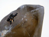 Rauchquarz Kristall XL vom Hohenstein, Namibia