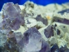 Amethyst Stufe mit Chloritüberzug aus Brasilien