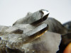 Alpine Morion Kristall Stufe