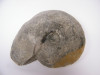 Ammonit XL