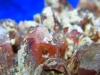 Bergkristall Stufe mit roten Kristallen aus Namibia