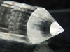 Vogel Cut Kristall 24-seitig