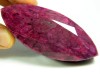 Roter Rubin XL
