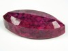 Roter Rubin XL