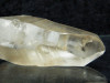 Lemuria Dolphin Kristall