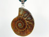 Ammoniten Anhänger in versilberter Fassung