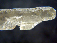 Bergkristall Elestial alpin