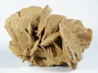 Große Sandrose aus Tunesien