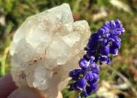 Bergkristall Zepter Elestial Kristall aus dem Himalaya