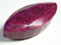 Roter Rubin XL