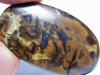 Opal Cabochon poliert