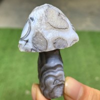 Magic Mushroom Achat aus der Gobi-Wüste