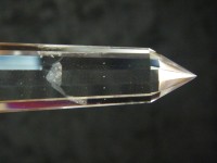 Vogel Cut Kristall 12-seitig mit Phantom