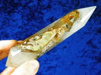 Schamanen Vogel Cut Kristall XL mit Phantomen