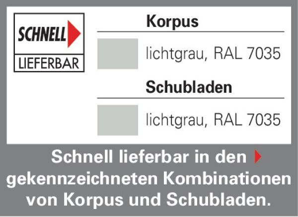 Karteischrank C+P