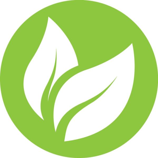 Drahtbürste m.Schaber L.290mm 0,35mm Stahldraht glatt 4-reihig LESSMANN