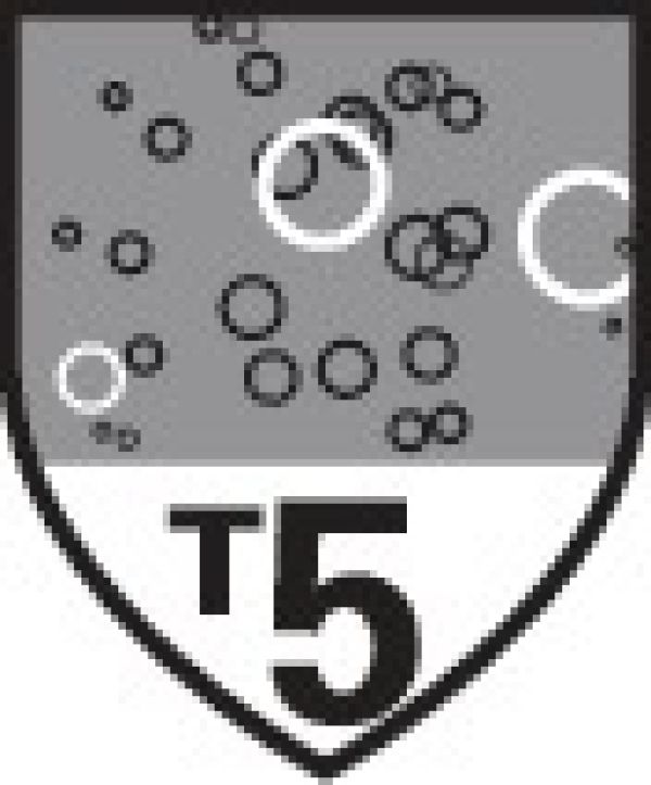 Schutzoverall Tychem® 6000 F DUPONT