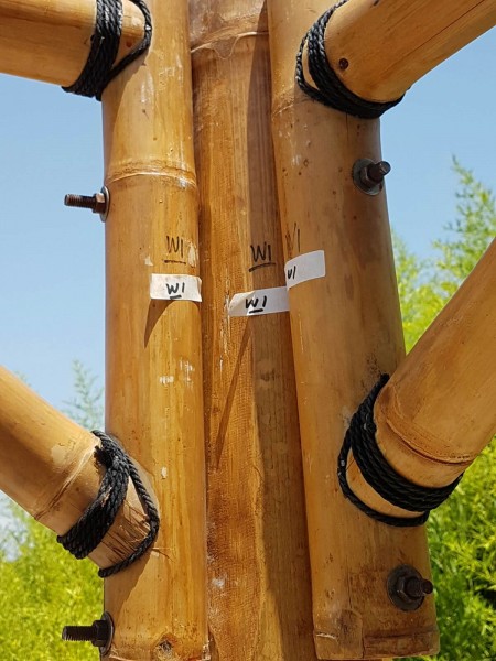 Pawilon bambusowy, Gazebo 5,20 x 5,20 m z częściami bocznymi
