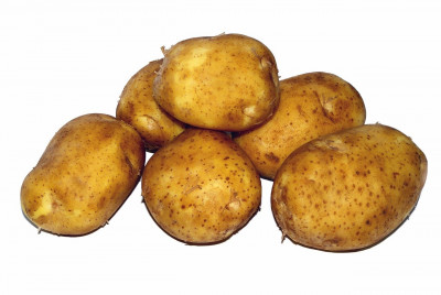 2,5 kg Kartoffeln, vorw. festkochend