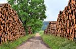 Brennholz regional kaufen: nachhaltig und schnell geliefert